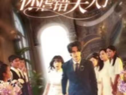 陸總住手吧，你虐錯(cuò)夫人了(全集)