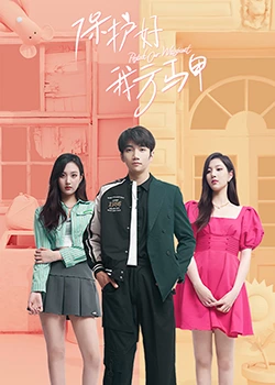 保護(hù)好我方馬甲(全集)