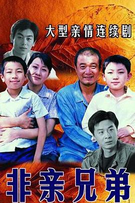 非親兄弟第05集