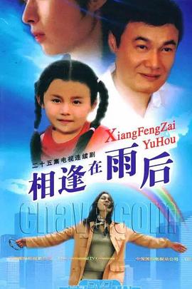相逢在雨后第16集
