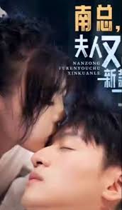 南總，夫人又出新款了(全集)