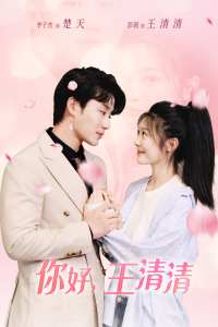 你好，王清清&且以舊火試新茶(全集)