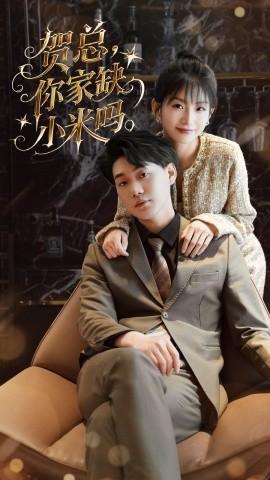 賀總你家缺小米嗎(全集)