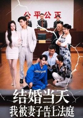 結(jié)婚當(dāng)天我被妻子告上法庭(全集)