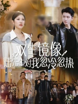 雙生鏡像陸先生對(duì)我忽冷忽熱(全集)