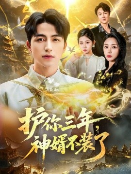 護(hù)你三年，神婿不裝了(全集)