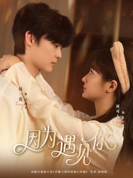 因為遇見你(全集)