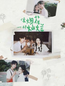 像煙花一樣燦爛(全集)