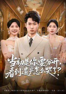 當(dāng)初是你要分開，看到遺產(chǎn)怎么哭了？(全集)