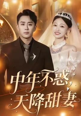 中年不惑，天降甜妻(全集)